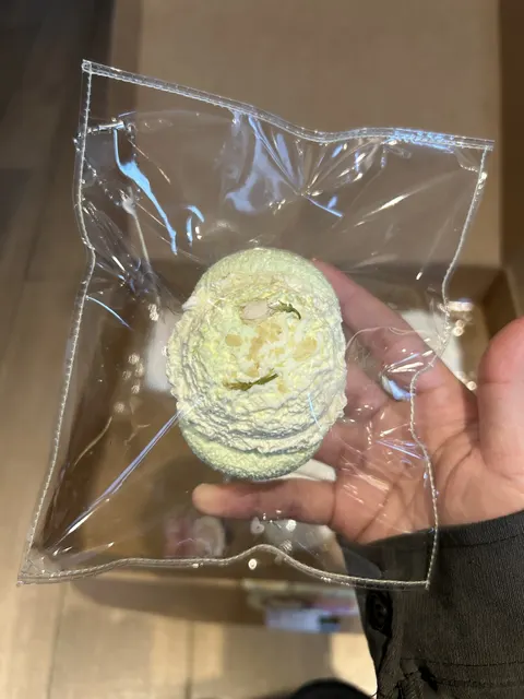 茉莉仙贝